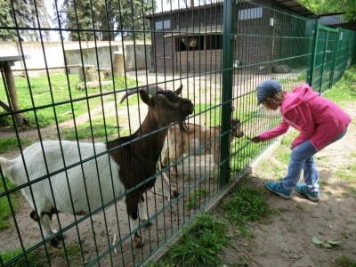Foto des Albums: Die Abschlussrüste und  für unsere Vorschulkinder 2016