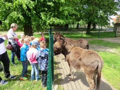 Foto des Albums: Die Abschlussrüste und  für unsere Vorschulkinder 2016