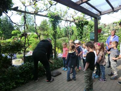 Foto des Albums: Die Abschlussrüste und  für unsere Vorschulkinder 2016
