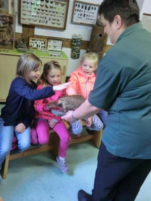 Foto des Albums: Die Abschlussrüste und  für unsere Vorschulkinder 2016