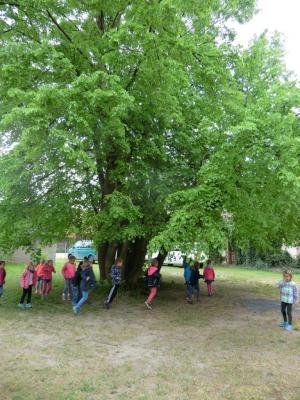 Foto des Albums: Die Abschlussrüste und  für unsere Vorschulkinder 2016