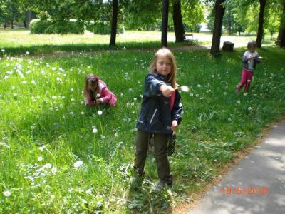 Foto des Albums: Die Abschlussrüste und  für unsere Vorschulkinder 2016