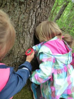 Foto des Albums: Die Abschlussrüste und  für unsere Vorschulkinder 2016