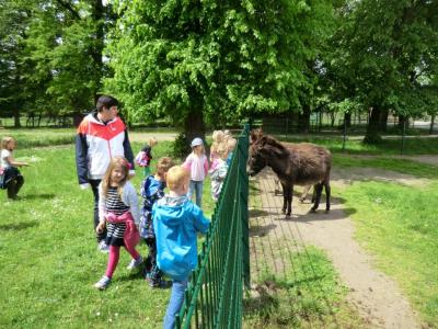 Foto des Albums: Die Abschlussrüste und  für unsere Vorschulkinder 2016