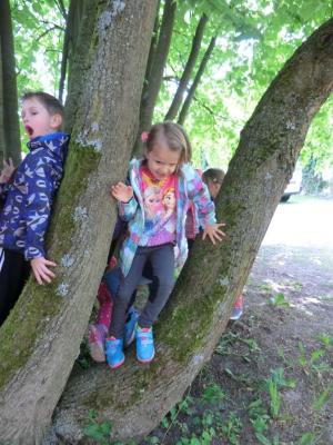 Foto des Albums: Die Abschlussrüste und  für unsere Vorschulkinder 2016