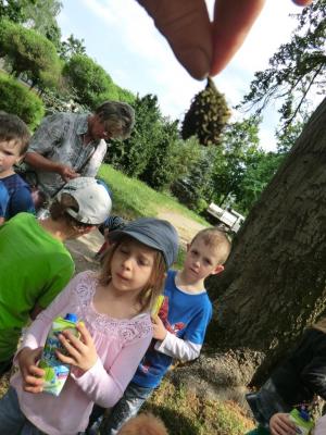Foto des Albums: Die Abschlussrüste und  für unsere Vorschulkinder 2016