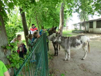 Foto des Albums: Die Abschlussrüste und  für unsere Vorschulkinder 2016