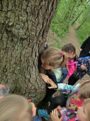 Foto des Albums: Die Abschlussrüste und  für unsere Vorschulkinder 2016