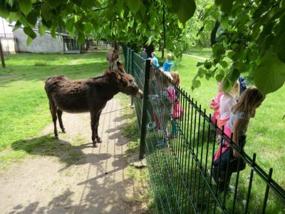 Foto des Albums: Die Abschlussrüste und  für unsere Vorschulkinder 2016