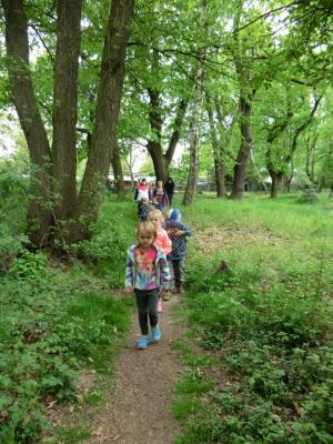 Foto des Albums: Die Abschlussrüste und  für unsere Vorschulkinder 2016