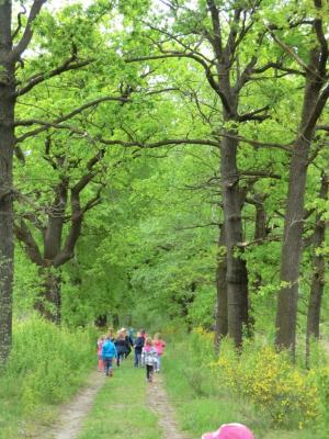 Foto des Albums: Die Abschlussrüste und  für unsere Vorschulkinder 2016