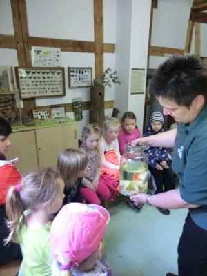 Foto des Albums: Die Abschlussrüste und  für unsere Vorschulkinder 2016