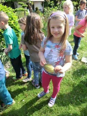 Foto des Albums: Die Abschlussrüste und  für unsere Vorschulkinder 2016