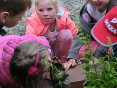 Foto des Albums: Die Abschlussrüste und  für unsere Vorschulkinder 2016