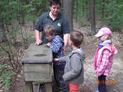 Foto des Albums: Die Abschlussrüste und  für unsere Vorschulkinder 2016