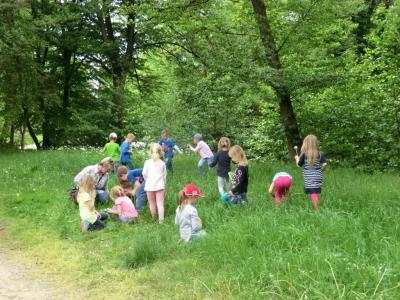 Foto des Albums: Die Abschlussrüste und  für unsere Vorschulkinder 2016