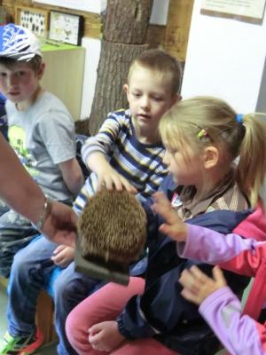 Foto des Albums: Die Abschlussrüste und  für unsere Vorschulkinder 2016