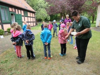 Foto des Albums: Die Abschlussrüste und  für unsere Vorschulkinder 2016