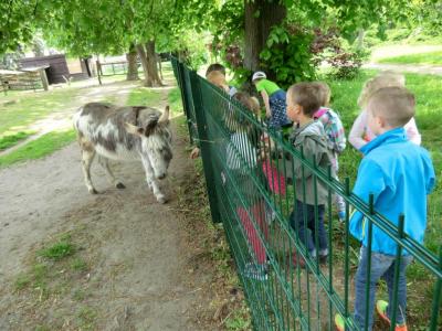 Foto des Albums: Die Abschlussrüste und  für unsere Vorschulkinder 2016
