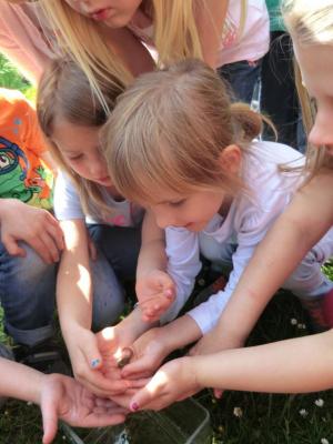 Foto des Albums: Die Abschlussrüste und  für unsere Vorschulkinder 2016