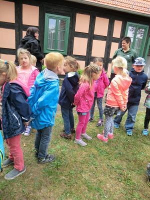 Foto des Albums: Die Abschlussrüste und  für unsere Vorschulkinder 2016