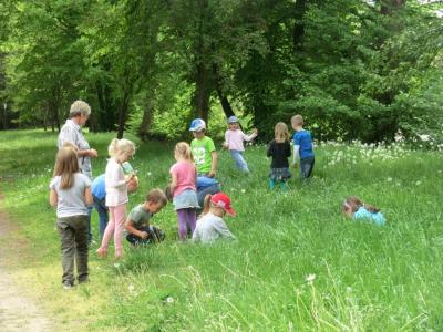 Foto des Albums: Die Abschlussrüste und  für unsere Vorschulkinder 2016