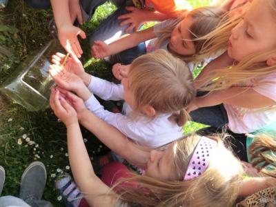 Foto des Albums: Die Abschlussrüste und  für unsere Vorschulkinder 2016