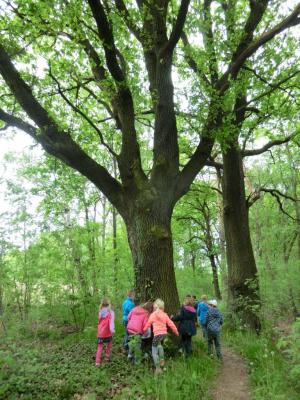 Foto des Albums: Die Abschlussrüste und  für unsere Vorschulkinder 2016