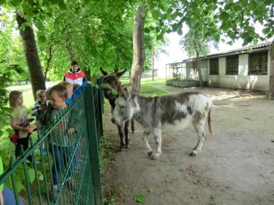 Foto des Albums: Die Abschlussrüste und  für unsere Vorschulkinder 2016