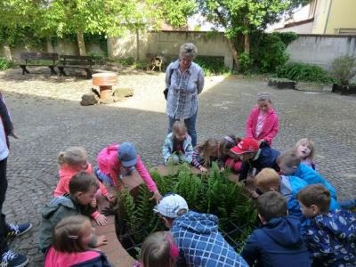 Foto des Albums: Die Abschlussrüste und  für unsere Vorschulkinder 2016