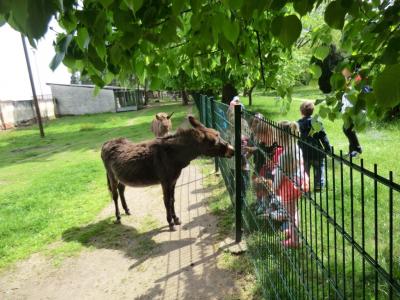 Foto des Albums: Die Abschlussrüste und  für unsere Vorschulkinder 2016