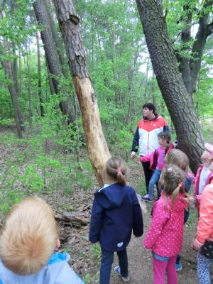 Foto des Albums: Die Abschlussrüste und  für unsere Vorschulkinder 2016