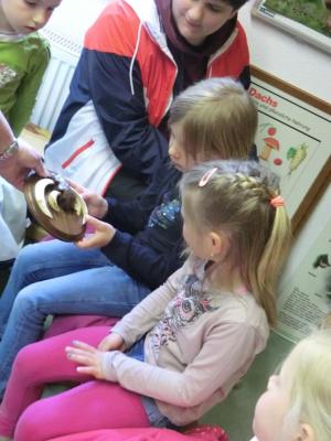 Foto des Albums: Die Abschlussrüste und  für unsere Vorschulkinder 2016