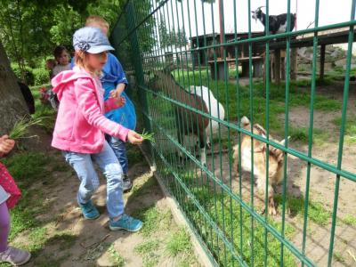 Foto des Albums: Die Abschlussrüste und  für unsere Vorschulkinder 2016