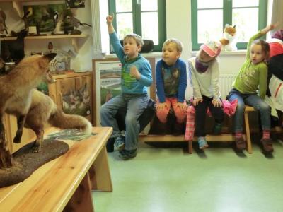 Foto des Albums: Die Abschlussrüste und  für unsere Vorschulkinder 2016