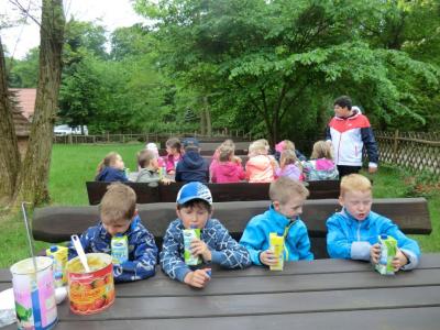 Foto des Albums: Die Abschlussrüste und  für unsere Vorschulkinder 2016