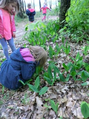 Foto des Albums: Die Abschlussrüste und  für unsere Vorschulkinder 2016