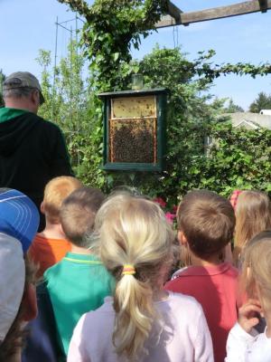 Foto des Albums: Die Abschlussrüste und  für unsere Vorschulkinder 2016