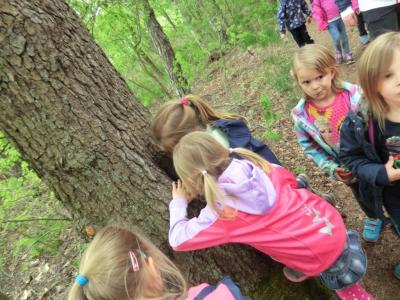 Foto des Albums: Die Abschlussrüste und  für unsere Vorschulkinder 2016