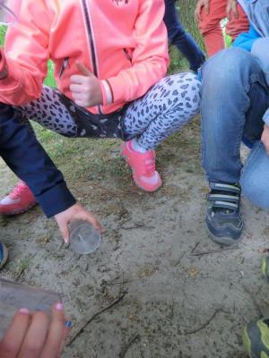 Foto des Albums: Die Abschlussrüste und  für unsere Vorschulkinder 2016