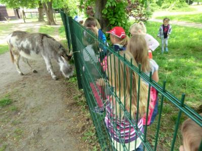 Foto des Albums: Die Abschlussrüste und  für unsere Vorschulkinder 2016