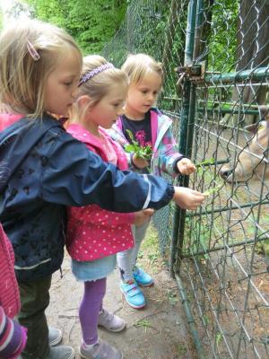 Foto des Albums: Die Abschlussrüste und  für unsere Vorschulkinder 2016