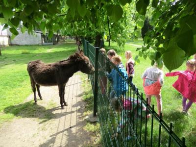 Foto des Albums: Die Abschlussrüste und  für unsere Vorschulkinder 2016