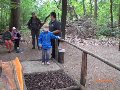 Foto des Albums: Die Abschlussrüste und  für unsere Vorschulkinder 2016