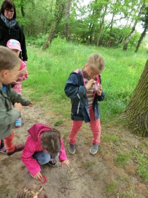 Foto des Albums: Die Abschlussrüste und  für unsere Vorschulkinder 2016