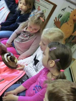 Foto des Albums: Die Abschlussrüste und  für unsere Vorschulkinder 2016