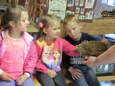 Foto des Albums: Die Abschlussrüste und  für unsere Vorschulkinder 2016