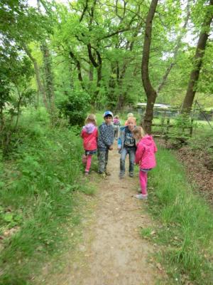 Foto des Albums: Die Abschlussrüste und  für unsere Vorschulkinder 2016