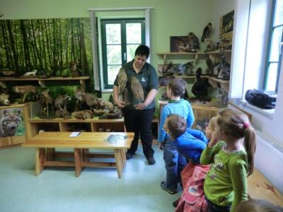 Foto des Albums: Die Abschlussrüste und  für unsere Vorschulkinder 2016
