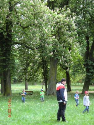 Foto des Albums: Die Abschlussrüste und  für unsere Vorschulkinder 2016